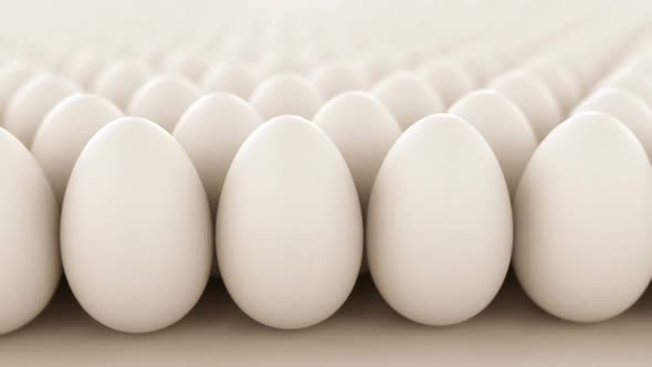 Endless animation of the white chicken's eggs infinite array. Loopable. HD