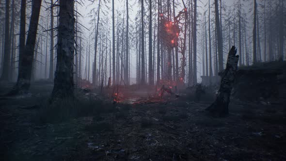 Burning Forest