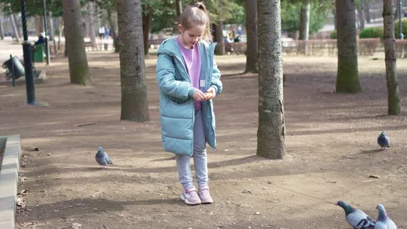 a Little Girl in a Blue Coat Feeds Pigeons Bread in the Park