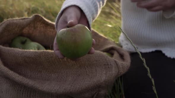 Woman offering ripe green apple from a sack medium shot