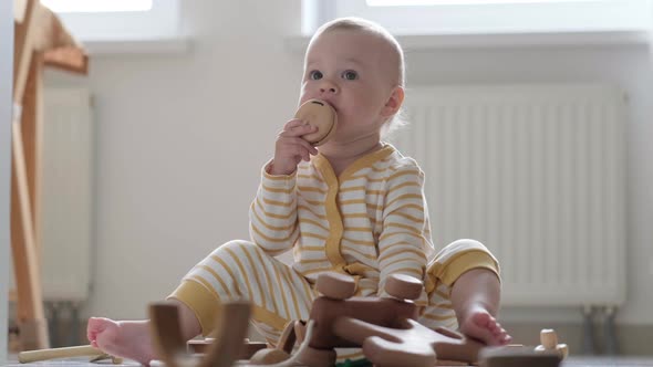 Eco Wood Toy Baby Game