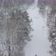 Winter Sports In The Forest - VideoHive Item for Sale