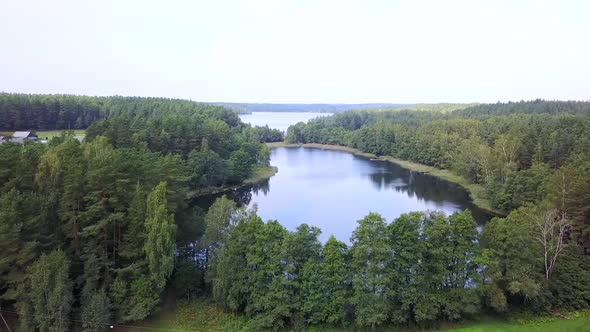 Lakes Is Surrounded by Forests from The Height of Bird Flight. Aerial Survey