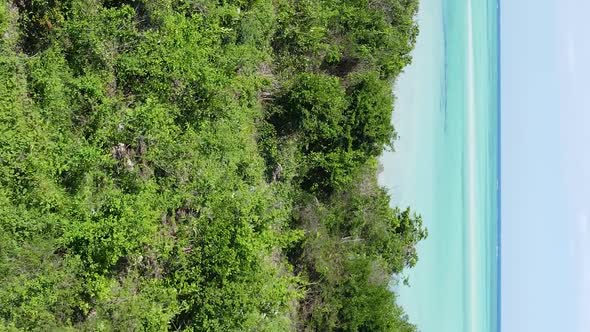 Zanzibar Tanzania  Ocean Shore Covered with Green Thickets Vertical Video Aerial View