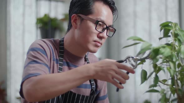 Asian Man Trimming Plants At Home