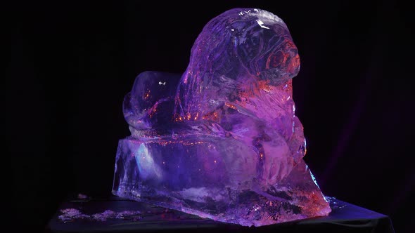 Big Block of Ice Carved in a Shape of a Lion Under Purple Lighting