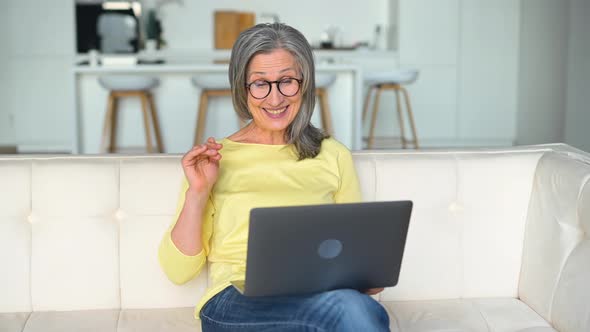 Cheerful Confident Senior Woman Using Laptop for Video Connection Remote Meeting