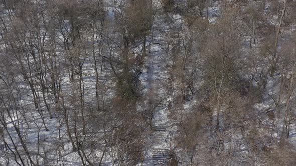 Stairways in the woods under snow 4K aerial video