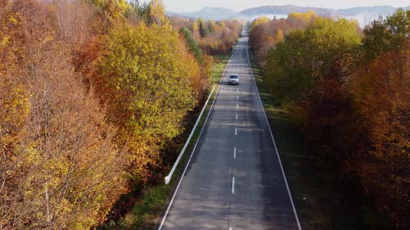 Autumn colors and mountain road aerial view