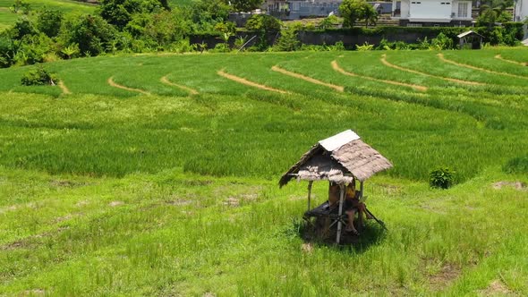 Refreshing birds eye view of Caucasian couple sitting in a small hut in the middle of rice fields in