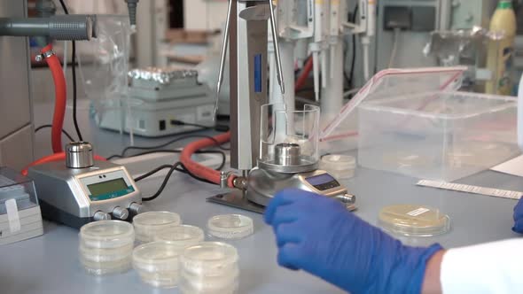 Science Laboratory, Technician Scientist Working in Lab, Using Petri Dish, Burner Machine and Biotec