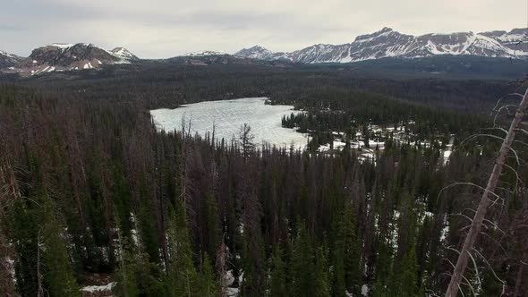 Flying view over a frozen forest in the mountains