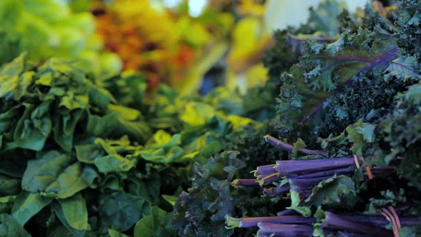 Organic vegetables from the local farm at the Summer Farmers Market.