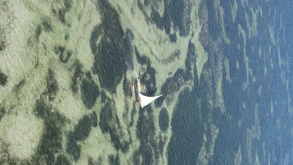 Vertical Video Boats in the Ocean Near the Coast of Zanzibar Tanzania Aerial View