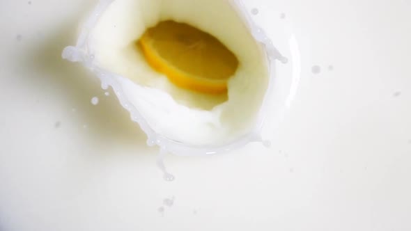 Piece of Lemon Fall Down in Milk