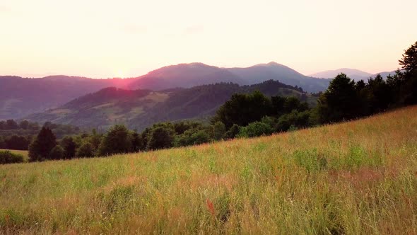 Aerial View of the Endless Lush Pastures of the Carpathian Expanses and Agricultural Land