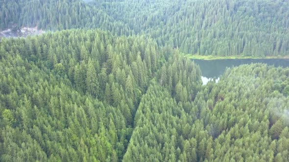 Epic Aerial Drone Shot Pulling Back through the Valley Fog and Mist Revealing the Large Wilderness o