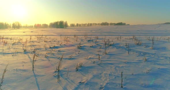 Aerial Drone View of Cold Winter Landscape with Arctic Field Trees Covered with Frost Snow and