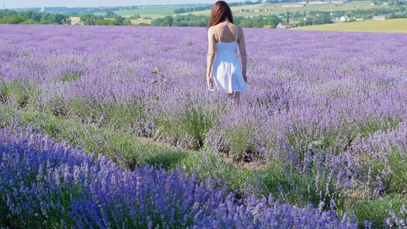 A woman in a white dress walks through a lavender field. Lavender. Provence, France