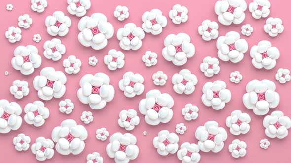 3d animation of cartoon white flowers on a pink background