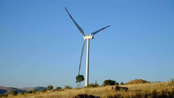 Wind Tribunes and Landscapes