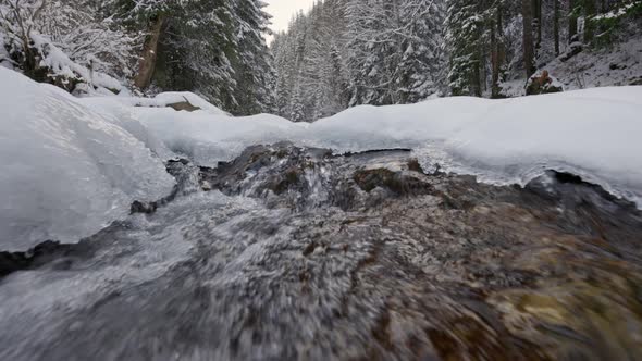 Winter Nature Landscape with Mounting River Icy Rocks and Snowy Forest