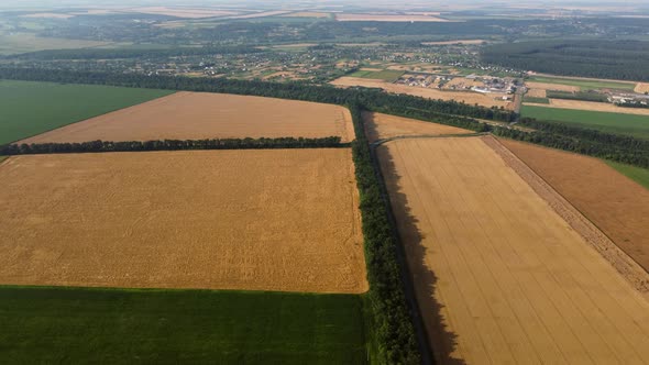 Aerial Drone View Flight Over Different Yellow Green Agricultural Fields