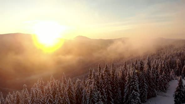 Drone Aerial Spin Around Winter Forest Covered in Clouds Mountain Valley