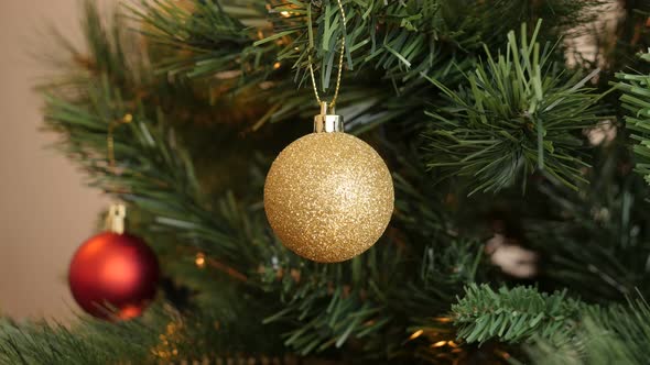 Gold bauble hanged on the branch 4K 2160p 30fps UltraHD footage - Shiny golden color ornament on Chr