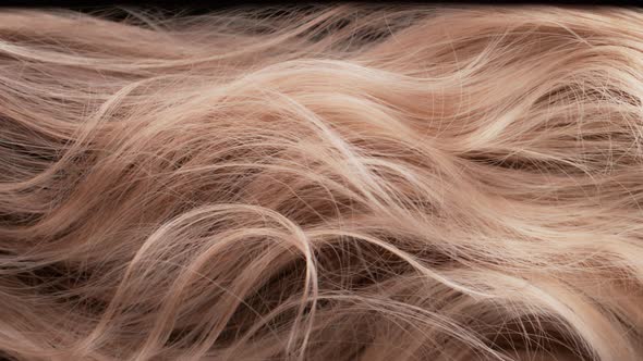 Super Slow Motion Shot of Waving Light Brown Highlighted Hair at 1000 Fps