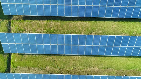 Aerial Top View of Solar Panels Farm (Solar Cell) with Sunlight