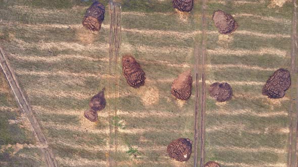 Manure Heaps in the Farm Field are Chaotic