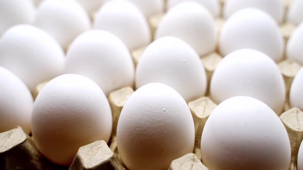 Eggs in a cardboard box from chicken farm