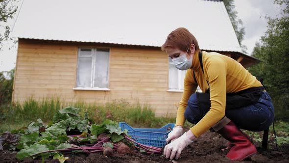 Farm Worker Harvesting Crops