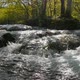 Streams of Plitvice Lakes National Park in Croatia Europe Largest National Park - VideoHive Item for Sale