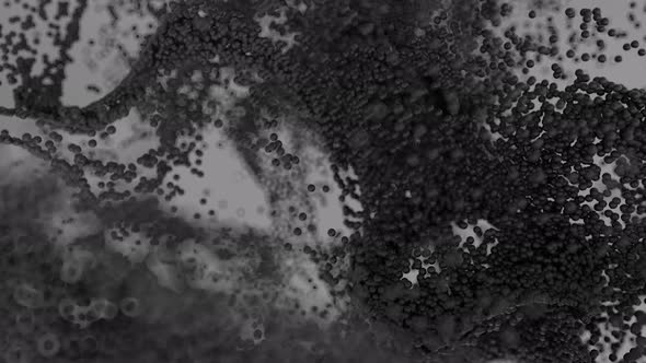 Growing Bacteria Cells 4k