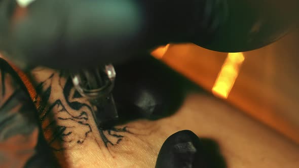 Tattooist in Black Gloves Working with Customers Skin Black Pattern Outline