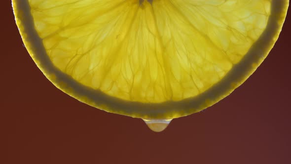 Fresh orange slice and water drop. Background citrus fruit texture, macro