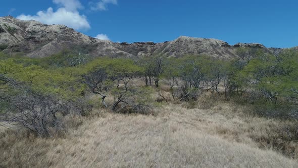 Wilderness location, Hawaiian savannah lanscape, Aerial flyover towards rocky mountain