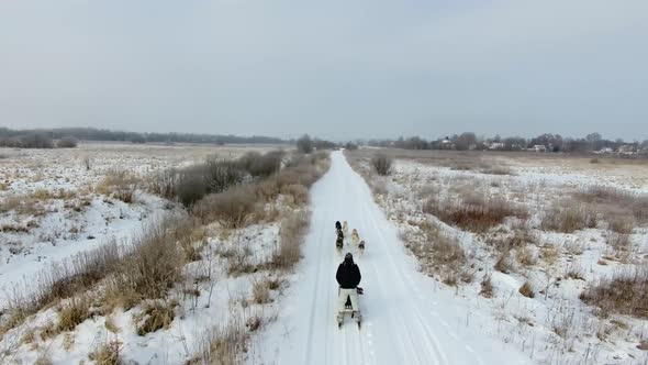 Training sled dogs on rural road in winter, aerial view