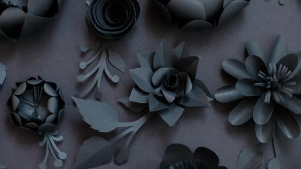 Black paper flowers on Black background. Cut from paper. 4k video template