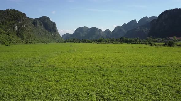 Aerial Motion Above Field and Mountains in Background