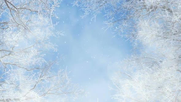 Blue And White Winter Background Loops  alt