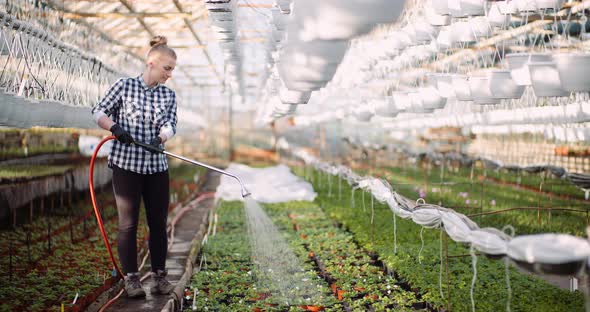 Agriculture - Female Gardener Watering Flowers