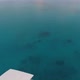 Aerial view of two boats embarked in the middle of the tropical ocean in Maldives - VideoHive Item for Sale