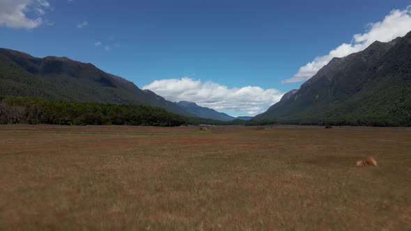 Low aerial dolly shot over a tall brown grass in a mountain valley in Fiordland Southland, New Zeala