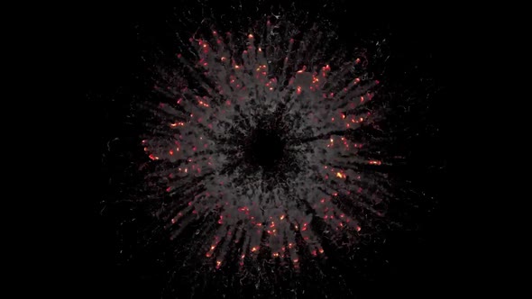 Explosion And Detonation Of A Flammable Liquid alt