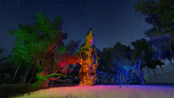 Panorama of the wilderness at night