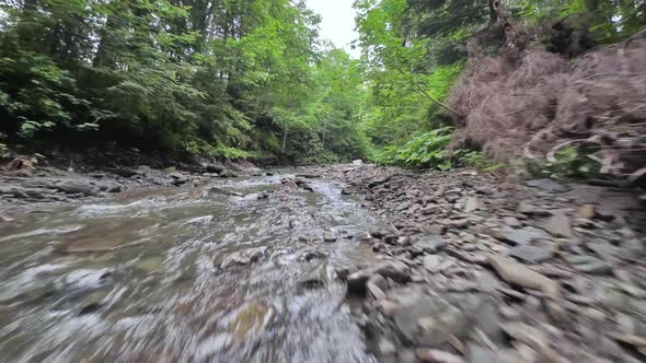 Smooth Rapid Flight Over a Mountain River Close to the Water Among a Dense Forest