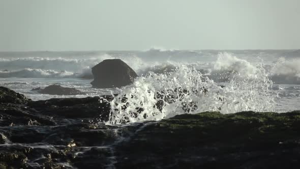 Ocean Splash